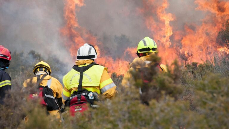 Incendies de Fontainebleau : les deux jeunes suspects mis en examen et placés en détention provisoire