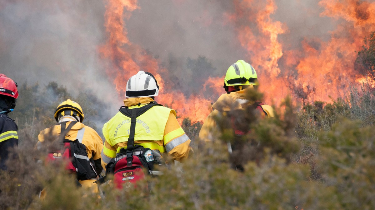 Incendies de Fontainebleau : les deux jeunes suspects mis en examen et placés en détention provisoire