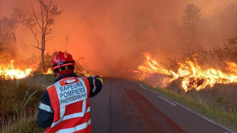 Incendies volontaires : 59 personnes interpellées en France depuis le début de la saison des feux